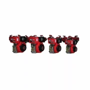 Royalty Diesel Engine 170