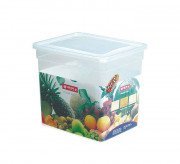 Lionstar Container Praxis Keeper 29L KP-21