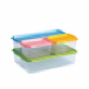Lionstar Container Cool Sealware 4pc Set Multicolour SW-45 Plastic Rectangle Containers Storage Air Tight Space Saving BPA Free