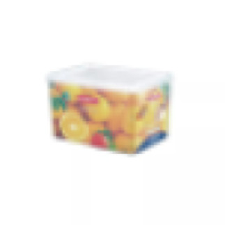 Lionstar Food Container Praxis Keeper 4.5L KP-13 Plastic Rectangle Containers Storage Air Tight Space Saving BPA Free