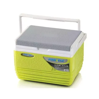 Pinnacle Cooler Box 4.5L, Small & Handy, Compact Size for Lunch TPX6006