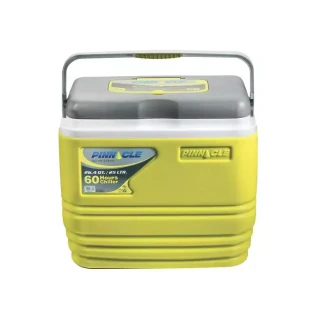 Pinnacle Primero Cooler Box 25L, 60hr Chiller, Sturdy Design, Keeps Drinks & Food Cold for Outdoor & Travel TPX7006