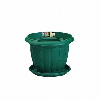 Lionstar Lotus Pot No8 w/Cover 254Ø FP-41