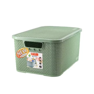 Lionstar Storage Container Box Revo No. 16 CA-16 Plastic Containers & Storage Space Saving Box BPA Free