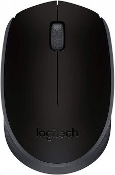 Logitech M171 Wireless Optical Mouse 910-004424 Tanzania