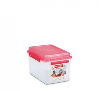 Lionstar Container Silvo 4L SC-10