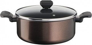 Tefal Easy Cook & Clean B5544602 Cooking Pot 24cm (4.7 L) with Lid for All Hobs Except Induction Tanzania