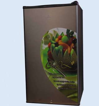 Delta 91L Refrigerator Single Door, Defrost Inox - DRFK-91.I
