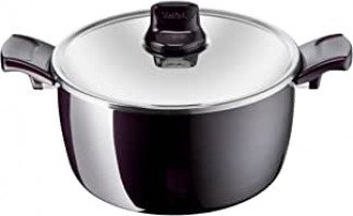 TEFAL Resist Intense stewpot 24 cm D5224683