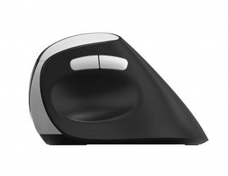 RAPOO Wireless optical mouse EV250 BLACK
