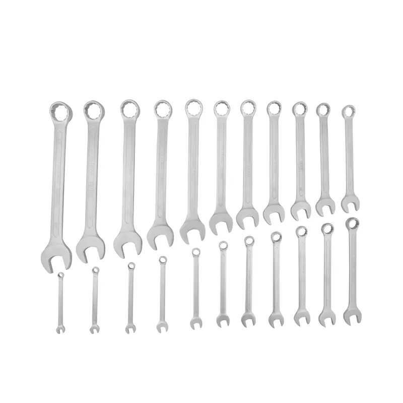Ronix 22pcs Combination Spanner Set 8-32mm, Cr-V Material with Plastic Bag RH-2103