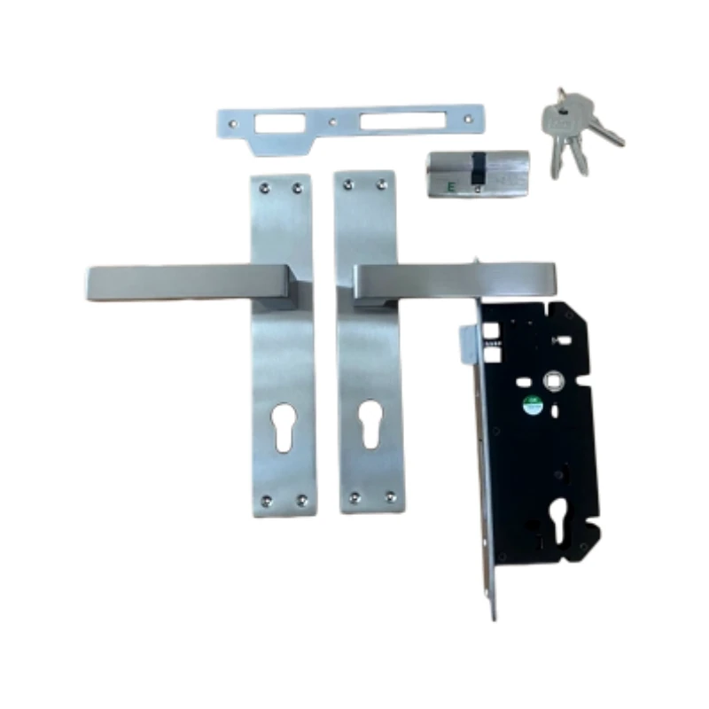 Godrej Europrofile Mortise Locks - ARC06 Mortise Combiset, 240mm, Stainless Steel Finish, 2C Design for Enhanced Security.
