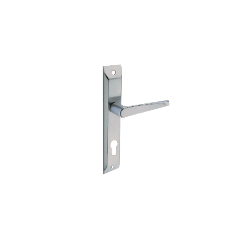 Godrej ARC09 Europrofile Mortise Combiset Locks 200mm, High Quality Door Handle Sets with Lock for Main Doors and Interconnecting Doors in Residential and Commercial Establishments Satin Steel Finish 2C 2547